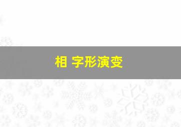 相 字形演变